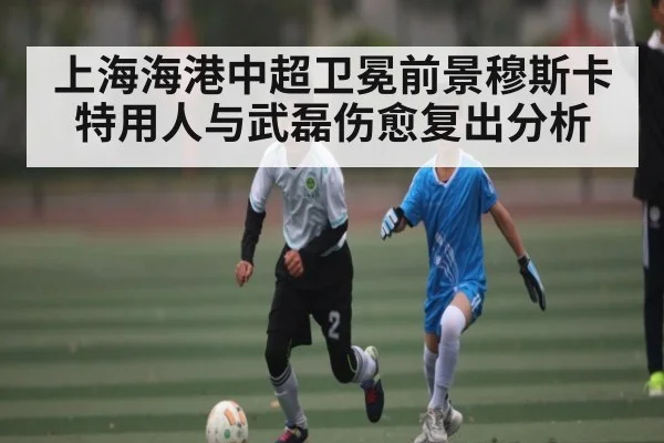 上海海港中超卫冕前景穆斯卡特用人与武磊伤愈复出分析 - kaiyun